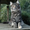 dagny037