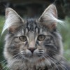 dagny045