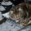 dagny053