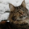 dagny056