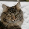 dagny057