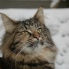 dagny058