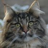 dagny064