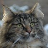 dagny065