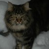 dagny069