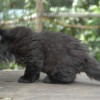 kl1DSC_0181