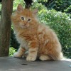 kl1DSC_0324