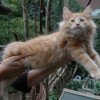 kl2DSC_0125