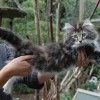 kl3DSC_0131