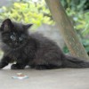 kl4DSC_0245