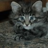 kl2DSC_0162