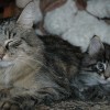 kl2DSC_2468
