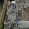 klaDSC_0012