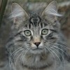 klaDSC_0016