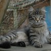 klaDSC_0046
