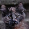 klmDSC_0042