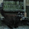 kln1DSC_0034