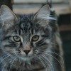 kln2DSC_0205