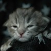 klo2DSC_0143