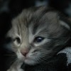 klo2DSC_0145