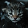 klo3DSC_0166