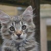 pkl1DSC_0265