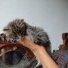 kl2DSC_0665