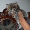 kl2DSC_0667