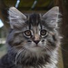 klq1DSC_0856