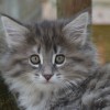 klq4DSC_0393