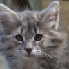 klq4DSC_0793