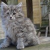 klq4DSC_0801