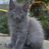 klt1DSC_0458