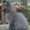 klt1DSC_0473