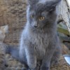 klt1DSC_0786