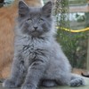 klt3DSC_0572