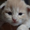 klw1DSC_0804