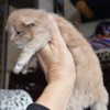 klw1DSC_0810