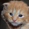 klw2DSC_0819