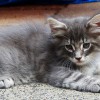 dsc02562