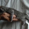 3dsc_0053
