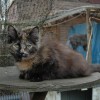 klmdsc_0032