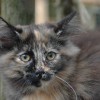 klmdsc_00551