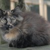 klmdsc_0061
