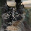 klmdsc_0066