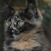 klmdsc_00801