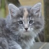 klq3dsc_0293