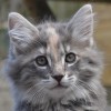 klq3dsc_0767