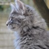 klq3dsc_0786