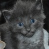 klt3dsc_0013